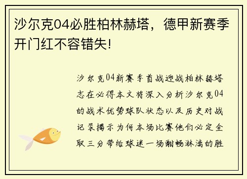 沙尔克04必胜柏林赫塔,德甲新赛季开门红不容错失!