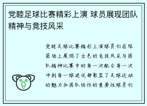 党睦足球比赛精彩上演 球员展现团队精神与竞技风采