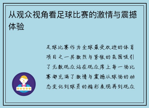 从观众视角看足球比赛的激情与震撼体验