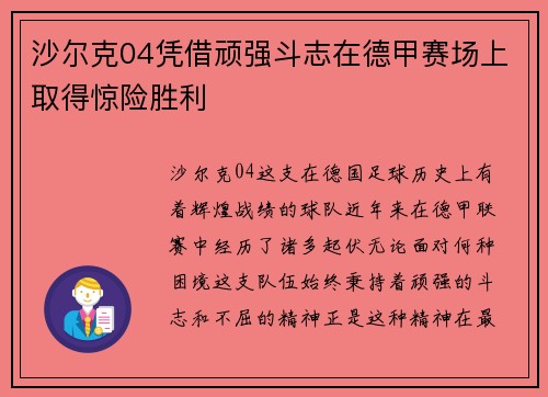 沙尔克04凭借顽强斗志在德甲赛场上取得惊险胜利