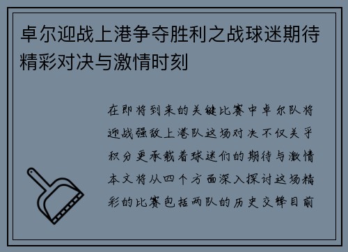 卓尔迎战上港争夺胜利之战球迷期待精彩对决与激情时刻