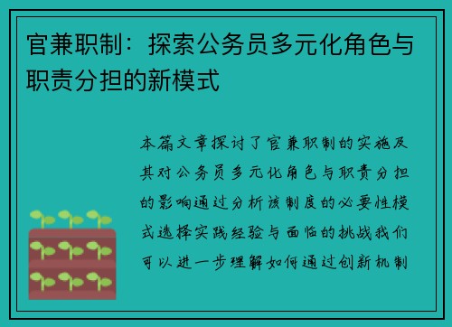 官兼职制:探索公务员多元化角色与职责分担的新模式