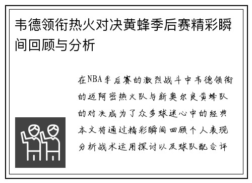 韦德领衔热火对决黄蜂季后赛精彩瞬间回顾与分析