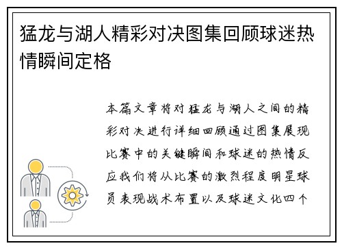 猛龙与湖人精彩对决图集回顾球迷热情瞬间定格